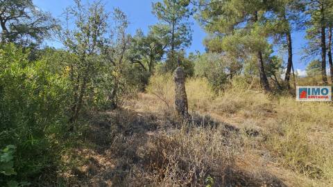 Quinta em Salgueiro do Campo