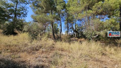 Quinta em Salgueiro do Campo