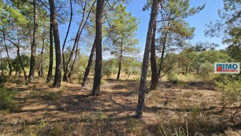 Quinta em Salgueiro do Campo