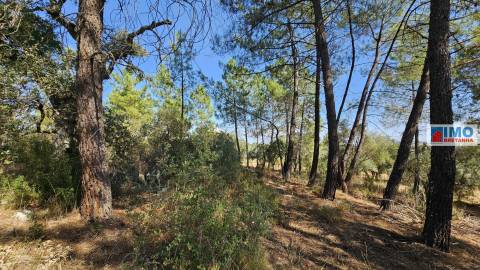 Quinta em Salgueiro do Campo