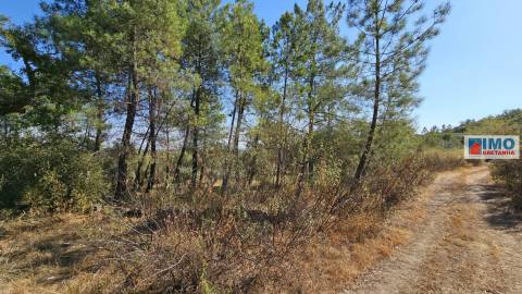 Quinta em Salgueiro do Campo