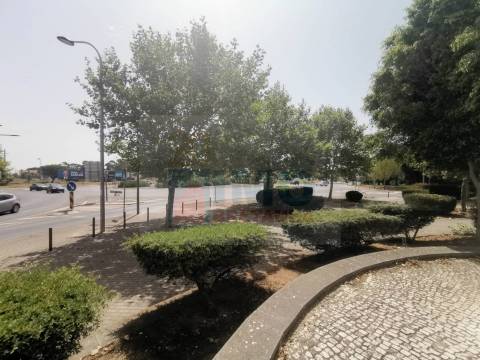 T2 - Alcoitão - Cascais