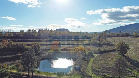 Quinta / Herdade com cerca de 11 ha - Covilhã