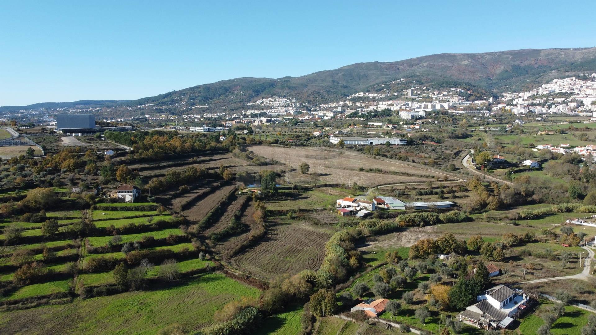 Quinta / Herdade com cerca de 11 ha - Covilhã