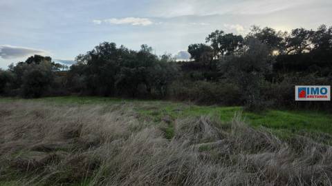 Terreno  Venda em Idanha-a-Nova e Alcafozes,Idanha-a-Nova