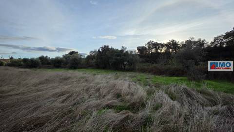 Terreno  Venda em Idanha-a-Nova e Alcafozes,Idanha-a-Nova