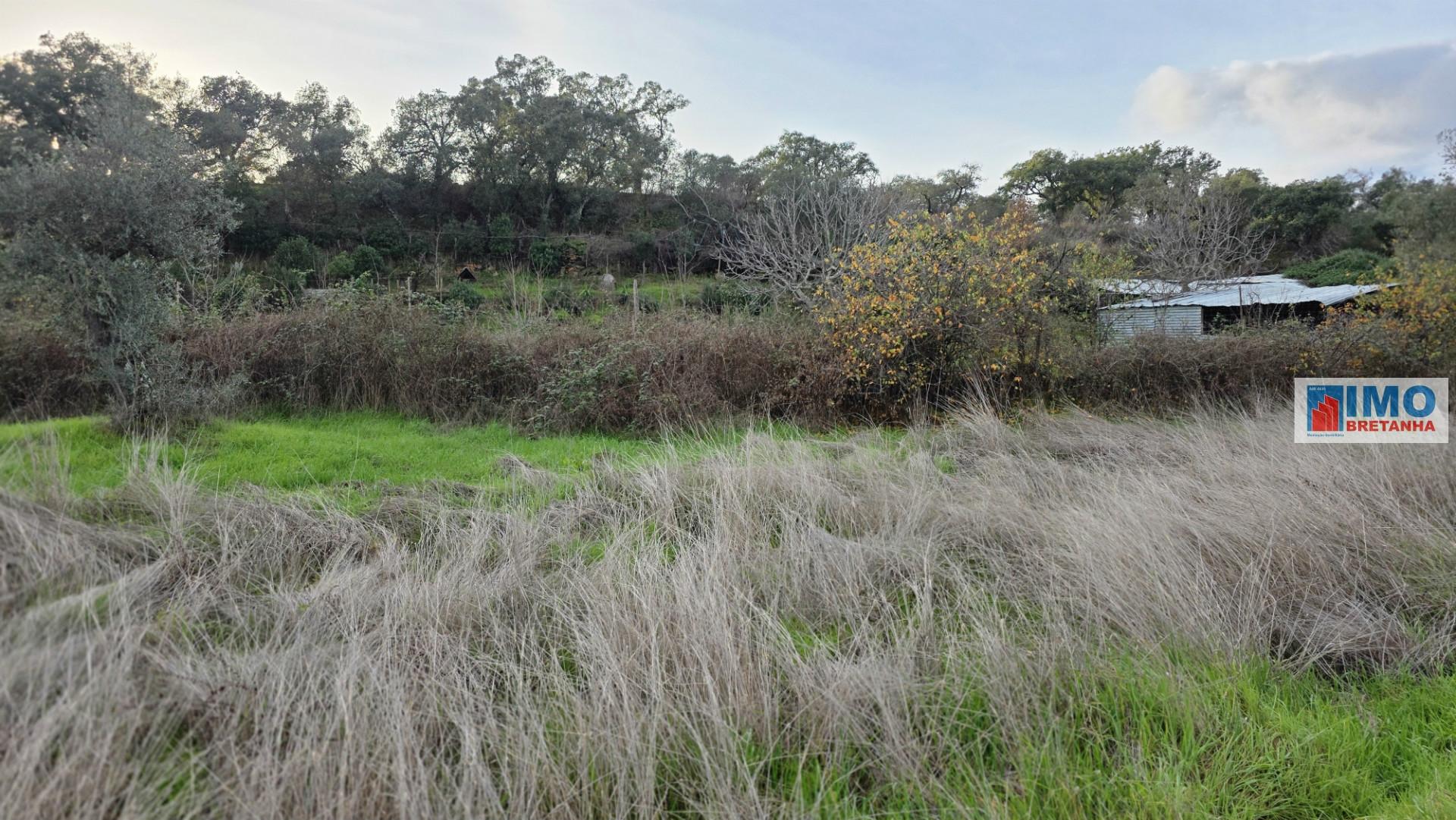 Terreno  Venda em Idanha-a-Nova e Alcafozes,Idanha-a-Nova