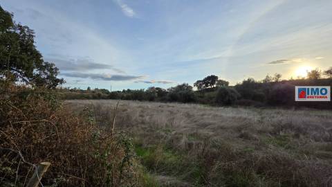 Terreno  Venda em Idanha-a-Nova e Alcafozes,Idanha-a-Nova