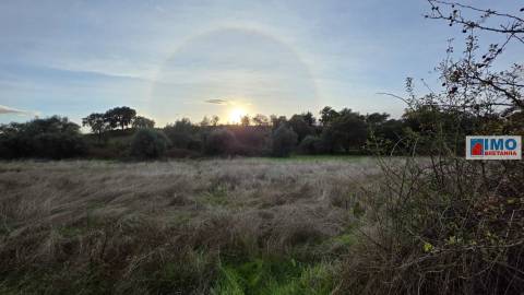 Terreno  Venda em Idanha-a-Nova e Alcafozes,Idanha-a-Nova