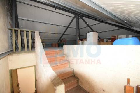 T3 - Penedos Altos p/ Renovar