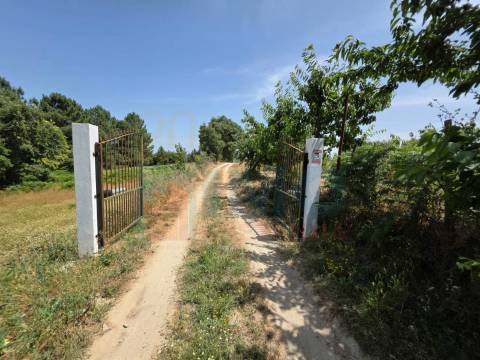 Quinta c/ Projeto Turistico - Aldeia de Souto - 15 min. Covilhã