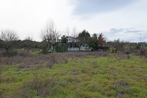 Quintinha c/ Moradia V2 - Peraboa - 10 min da Covilhã