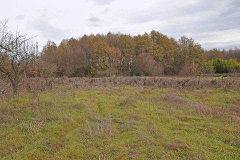 Quintinha c/ Moradia V2 - Peraboa - 10 min da Covilhã