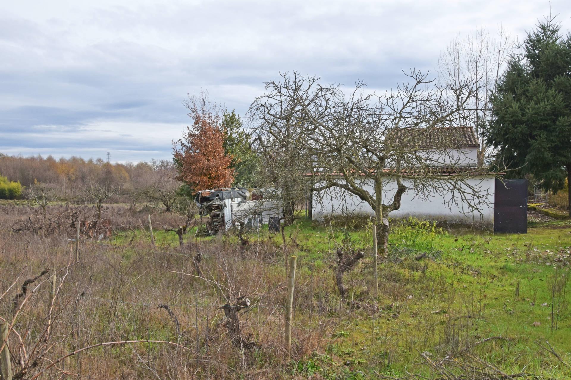 Quintinha c/ Moradia V2 - Peraboa - 10 min da Covilhã