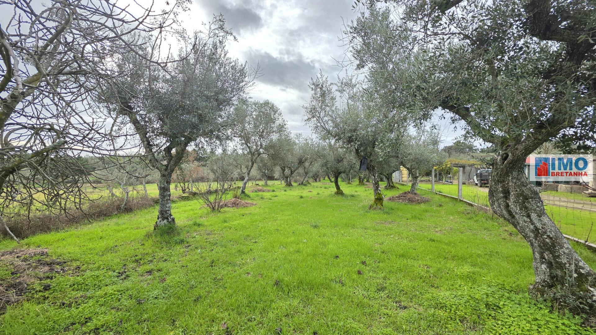 Quintinha em Póvoa de rio de Moinhos- Castelo Branco