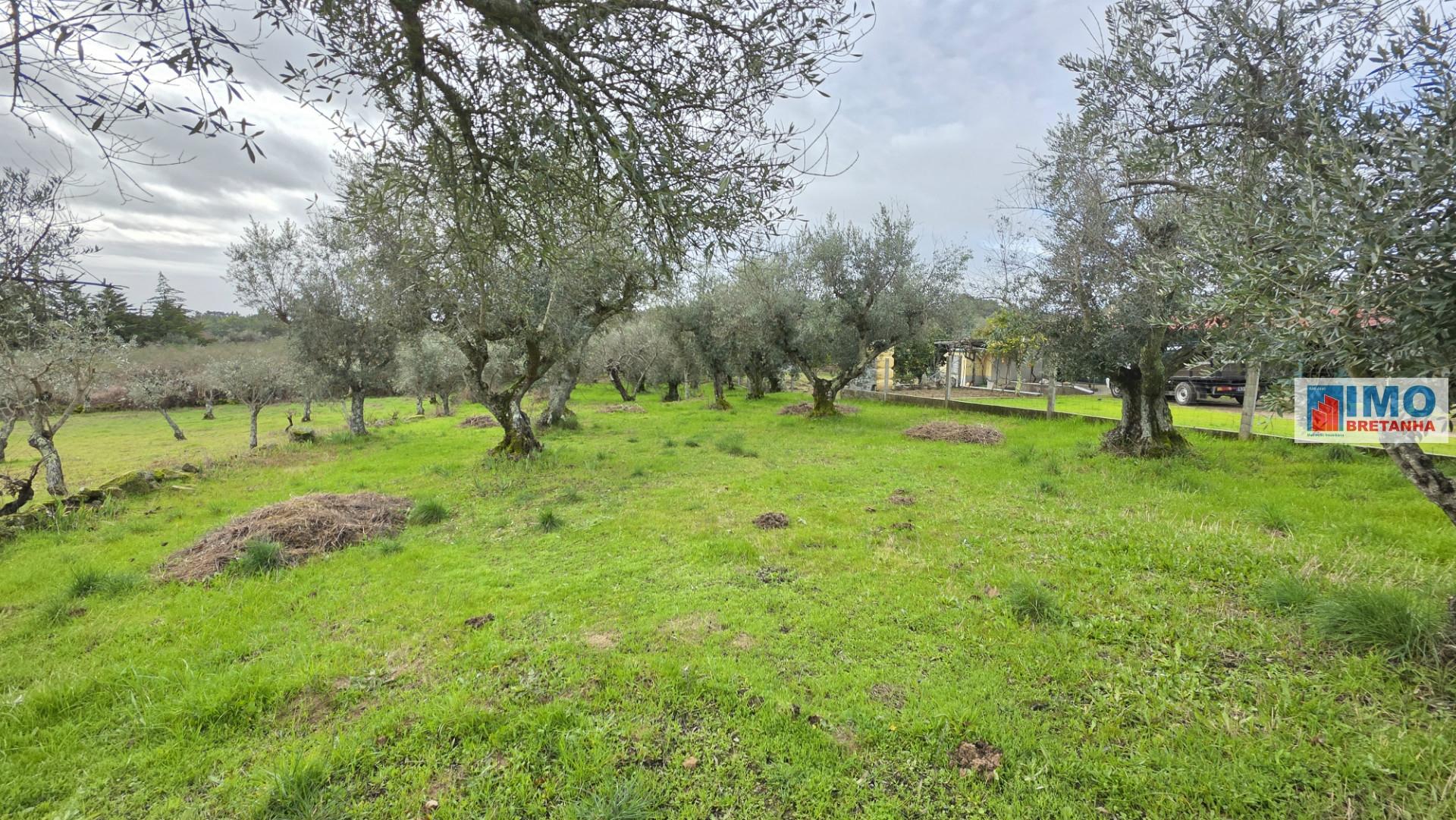 Quintinha em Póvoa de rio de Moinhos- Castelo Branco