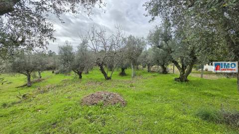 Quintinha em Póvoa de rio de Moinhos- Castelo Branco
