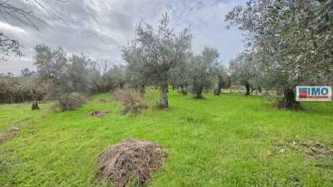 Quintinha em Póvoa de rio de Moinhos- Castelo Branco