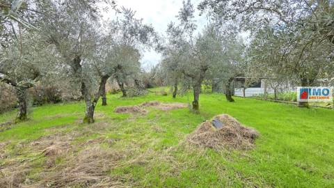 Quintinha em Póvoa de rio de Moinhos- Castelo Branco