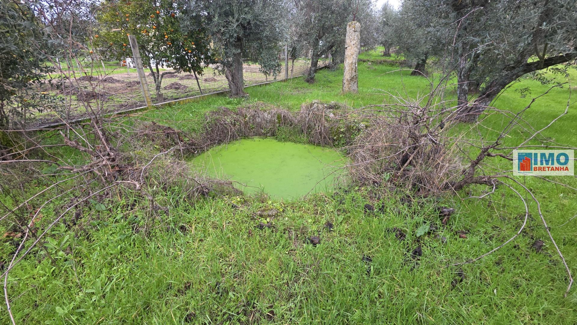 Quintinha em Póvoa de rio de Moinhos- Castelo Branco