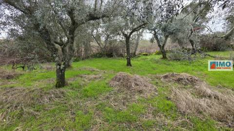 Quintinha em Póvoa de rio de Moinhos- Castelo Branco
