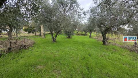 Quintinha em Póvoa de rio de Moinhos- Castelo Branco