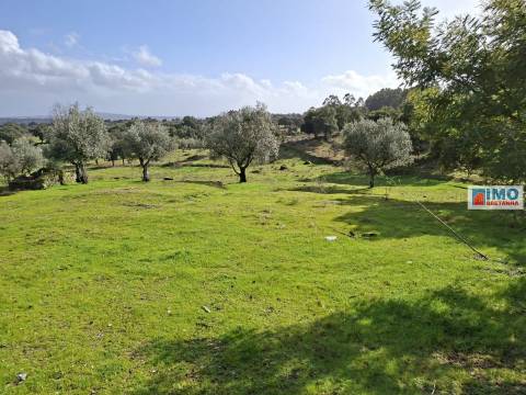 Quinta com ruína em São Miguel D´Acha