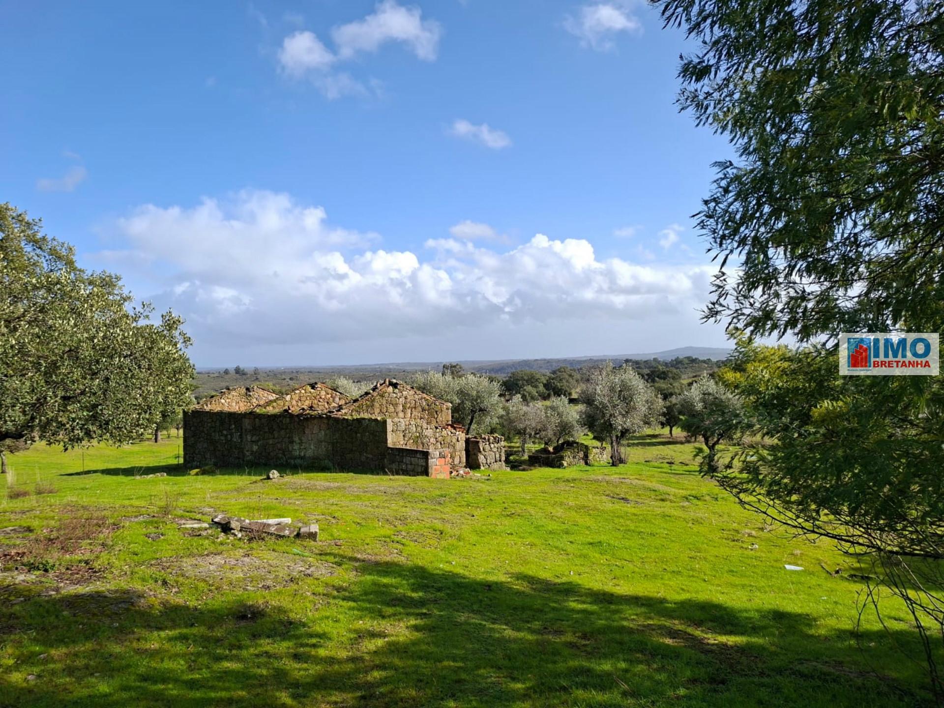 Quinta com ruína em São Miguel D´Acha