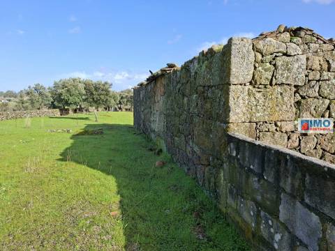 Quinta com ruína em São Miguel D´Acha