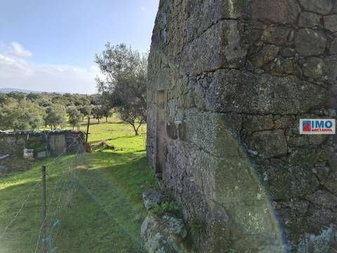 Quinta com ruína em São Miguel D´Acha