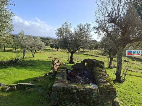 Quinta com ruína em São Miguel D´Acha