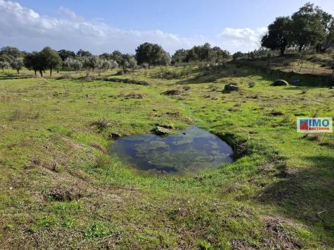 Quinta com ruína em São Miguel D´Acha