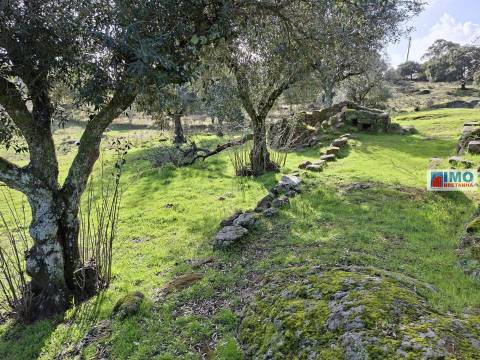 Quinta com ruína em São Miguel D´Acha