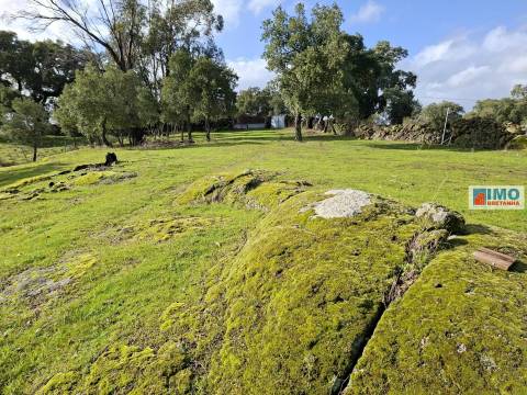 Quinta com ruína em São Miguel D´Acha