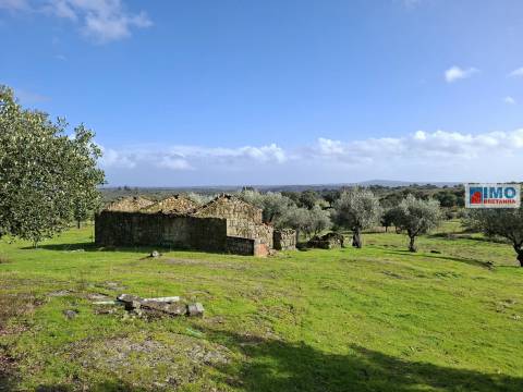 Quinta com ruína em São Miguel D´Acha