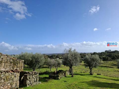 Quinta com ruína em São Miguel D´Acha