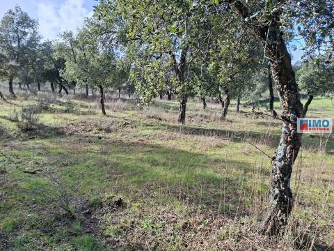 Quinta com ruína em São Miguel D´Acha