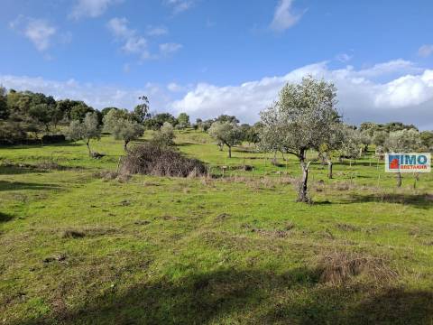 Quinta com ruína em São Miguel D´Acha