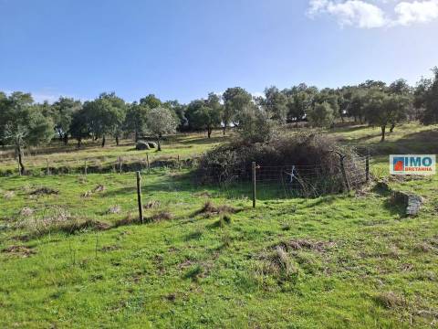 Quinta com ruína em São Miguel D´Acha