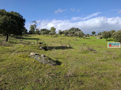Quinta com ruína em São Miguel D´Acha