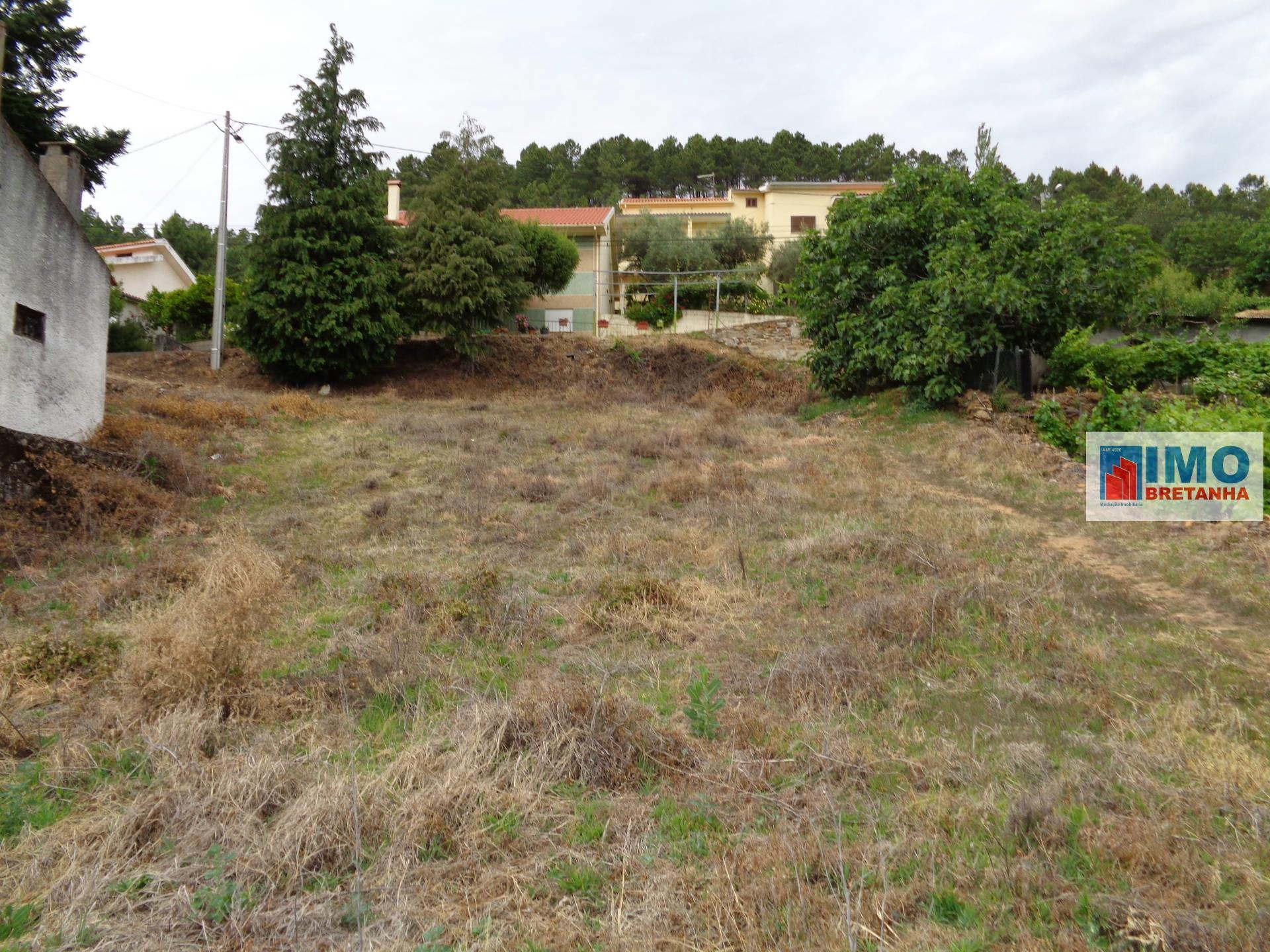 Quintinha - Atalaia do Teixoso