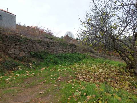 Quintinha - Atalaia do Teixoso