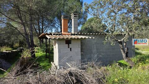 Quintinha em Benquerenças a 10 minutos de Castelo Branco