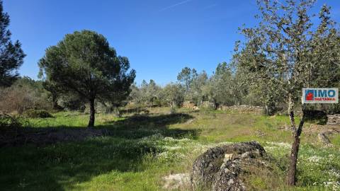 Quintinha em Benquerenças a 10 minutos de Castelo Branco