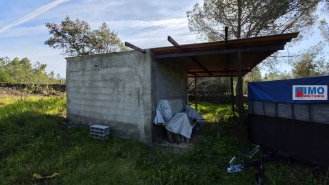 Quintinha em Benquerenças a 10 minutos de Castelo Branco