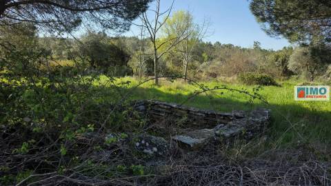 Quintinha em Benquerenças a 10 minutos de Castelo Branco