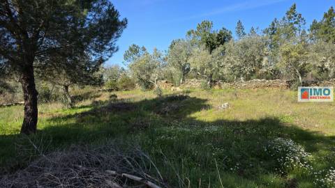 Quintinha em Benquerenças a 10 minutos de Castelo Branco