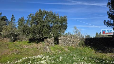 Quintinha em Benquerenças a 10 minutos de Castelo Branco