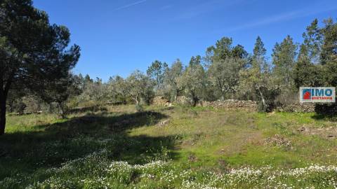 Quintinha em Benquerenças a 10 minutos de Castelo Branco
