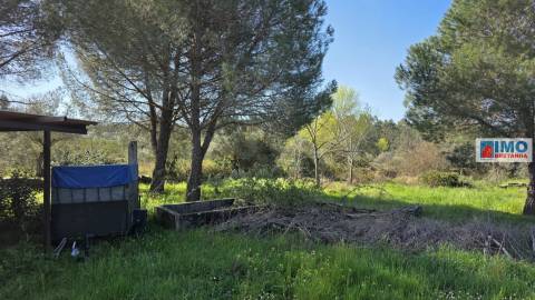 Quintinha em Benquerenças a 10 minutos de Castelo Branco